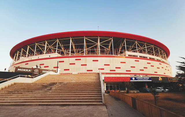 汉堡主帅：霍芬海姆前场逼抢凶悍，波尔森能够参加本轮比赛