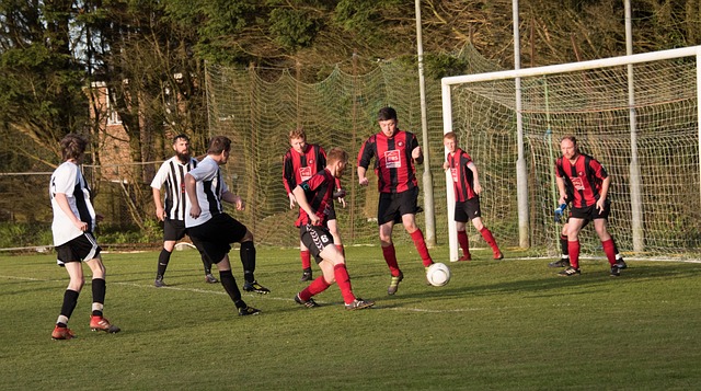 质量和球员 质量和球员