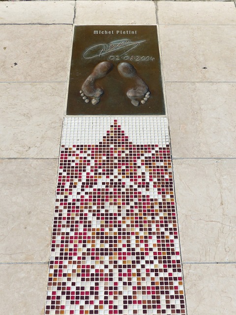 双方教练与 双方教练与