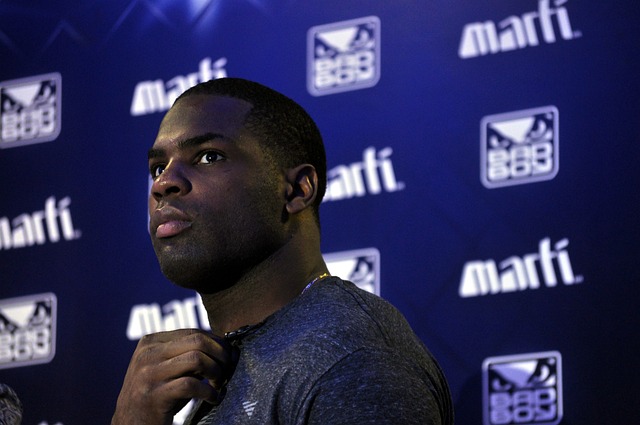 威尼斯的主 威尼斯的主