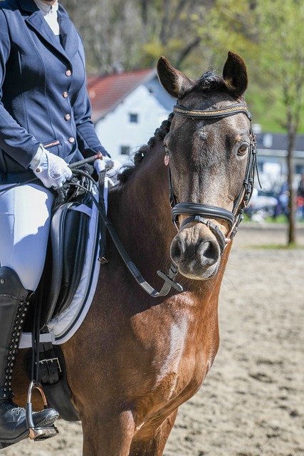 挥别越秀山 挥别越秀山