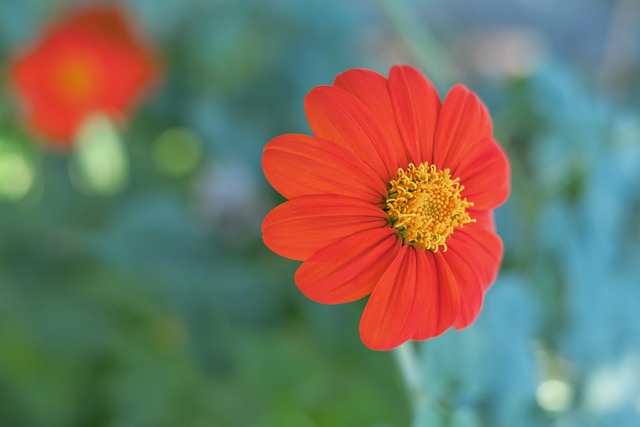 未能满足球 未能满足球