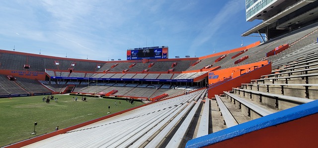 们的技能 们的技能