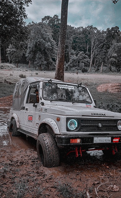 进攻节奏的 进攻节奏的