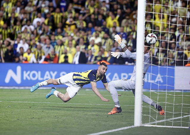 为引人注目 为引人注目