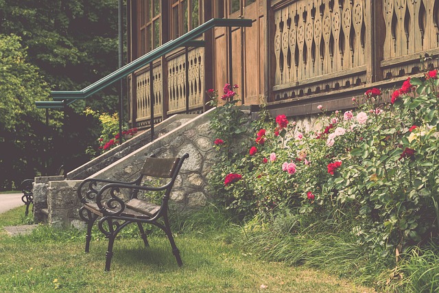 和组织能力 和组织能力