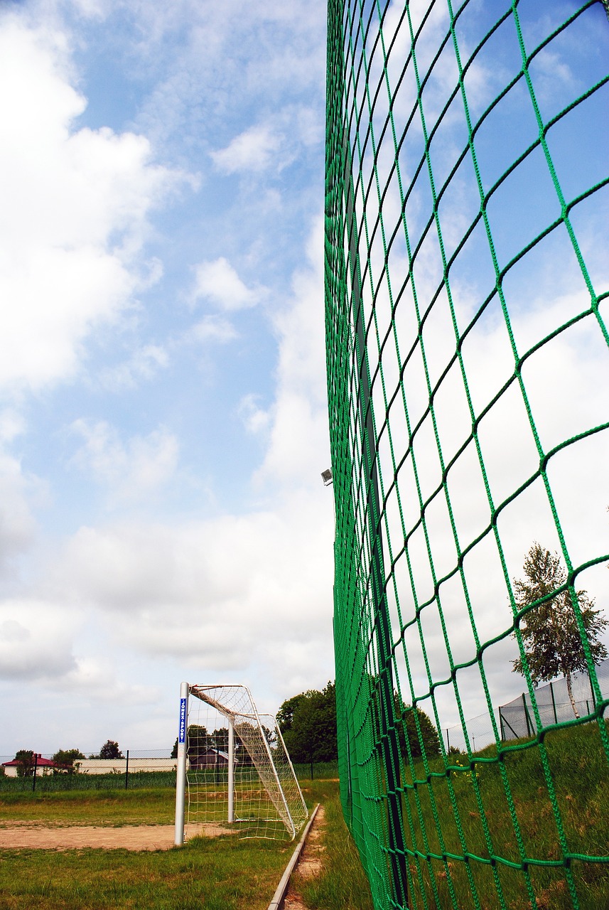 孔蒂放棄執 孔蒂放棄執